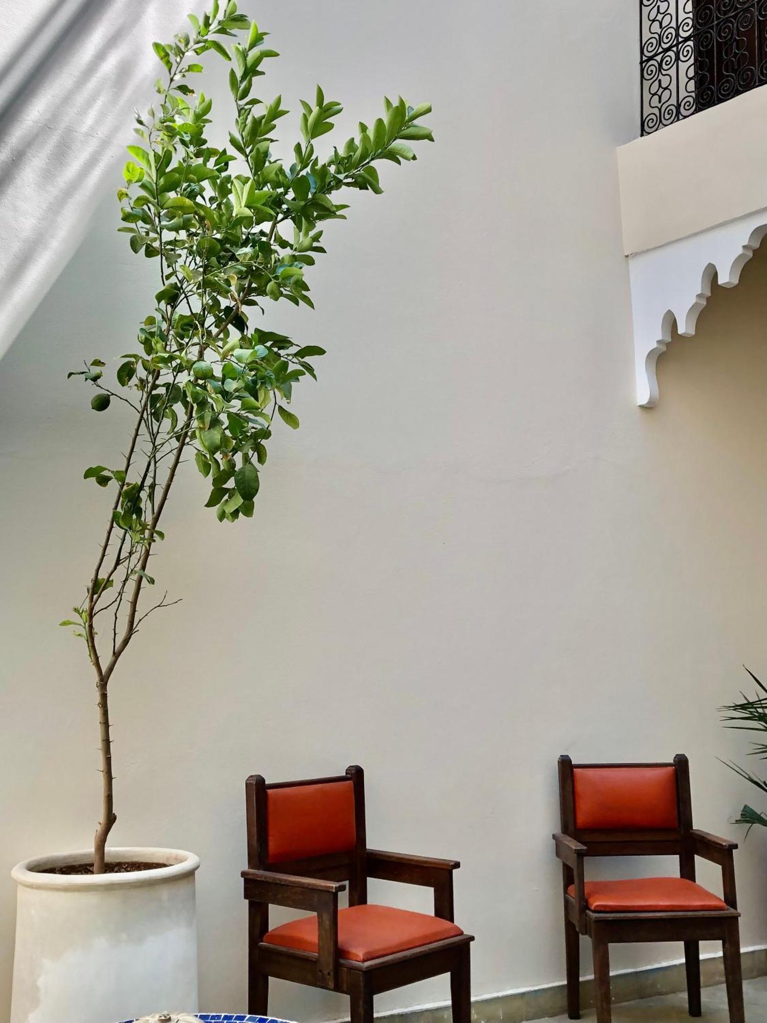 מרקש Riad Imndi מראה חיצוני תמונה